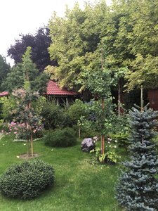 8EA93947-0E2A-40E9-AD24-9005C314FF28.jpeg