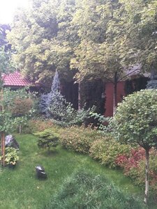 D54DDB01-49D4-49EA-A888-BAF38C3AF3F8.jpeg