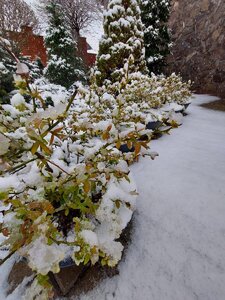 DC3A156D-0245-49DF-A93E-56D899788A27.jpeg