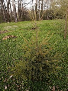 IMG_20210503_161013.jpg