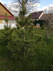 IMG_20210503_161349.jpg
