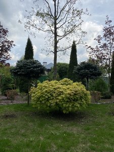DB12C1C7-64DF-4E10-9D77-740094528CB3.jpeg