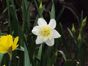2021.05.19 У. № 1 _  DSCF1634.JPG