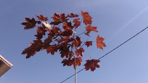 P_20210522_161143.jpg