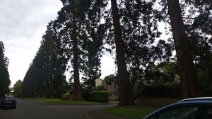 IMG-20210525-WA0076.jpeg