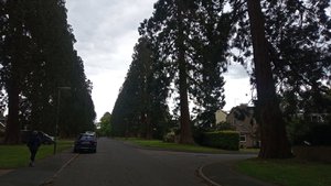 IMG-20210525-WA0078.jpeg