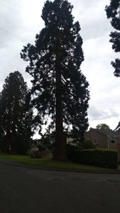 IMG-20210525-WA0082.jpeg