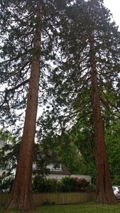 IMG-20210525-WA0084.jpeg