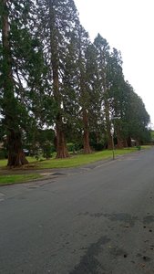 IMG-20210525-WA0086.jpeg