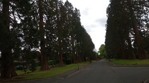 IMG-20210525-WA0092 (1).jpeg