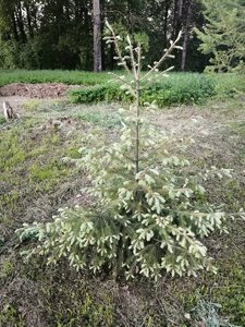 IMG_20210527_203645.jpg