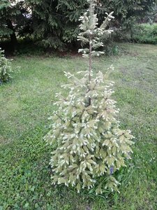 IMG_20210527_203857.jpg