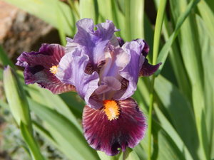 DSCN4937.JPG