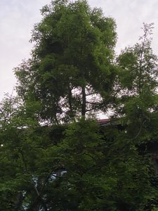 57859E96-2904-48E6-8577-C808AEE99A02.jpeg