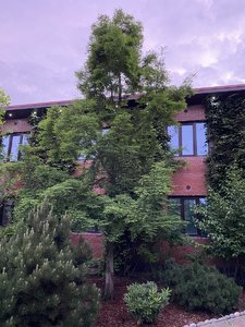 F0CA59C6-0060-400E-BD02-F182449CC7E4.jpeg