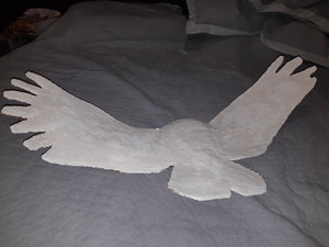 20210617_224314.jpg