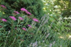 DSC09644.JPG