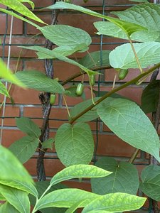 21AB2A86-6E01-427A-A961-23AF941771C0.jpeg