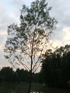 IMG_5166.JPG