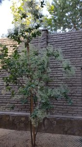 03672225-DF33-4A84-A5FF-C7820322B442.jpeg