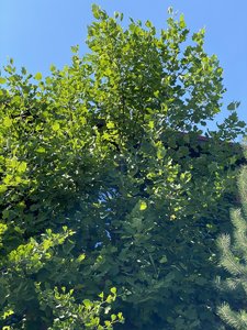 B09BC039-F676-4406-B088-A260D188FFEF.jpeg