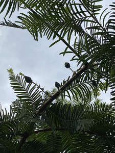 F89514E0-865B-4D9D-9444-B3764E30D43B.jpeg