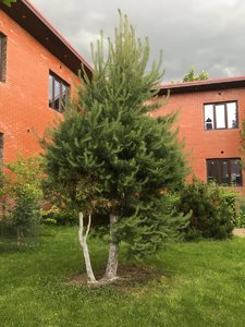 88D71B2A-942D-450D-8FCB-3153E6D6B6EC.jpeg