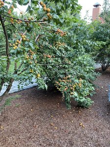 D40B533B-932E-4DEE-ADBC-67132B8F9E67.jpeg