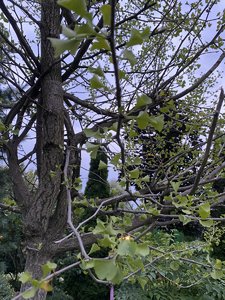 D87813ED-5DD4-4BFD-91E5-5FF18615E1C1.jpeg