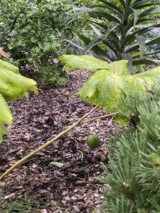 BD131320-FACD-4075-A29D-16126D8CCEB9.jpeg