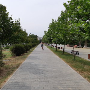 20210807_150712.jpg