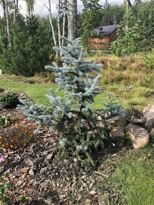 IMG_1081.JPG