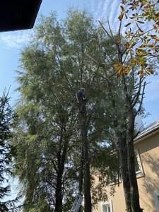 21D32685-C21A-477C-8EF5-A98C20CF103B.jpeg