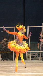 IMG_8790.JPG