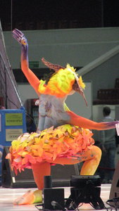 IMG_8798.JPG