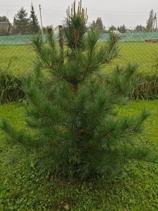 IMG_20210830_123718.jpg