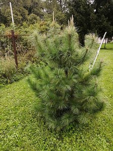 IMG_20210830_124048.jpg