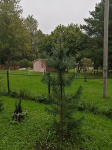 IMG_20210830_124412.jpg