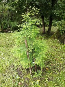 IMG_20210830_124812.jpg