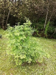 IMG_20210830_124835.jpg