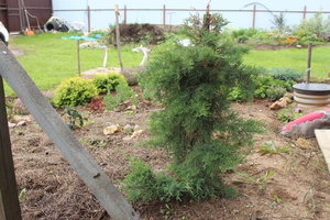 IMG_6829.JPG