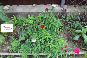 IMG_6824.JPG