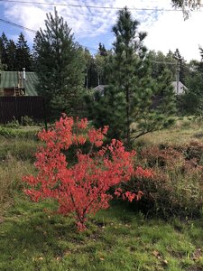 IMG_1173.JPG