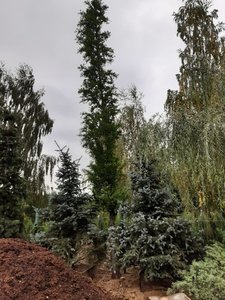 2F071019-66B0-48A9-BE59-C7A7EB4CC76D.jpeg
