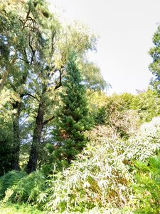 IMG_20210910_134054.jpg