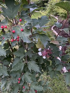 AF68B163-A769-429C-B6AE-F6406C683CAD.jpeg