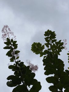 3A9B605D-3A61-4F41-97CE-3867F5D7754F.jpeg