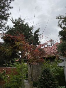 A22D196B-30AD-48C2-A3C5-F8F045FA1225.jpeg