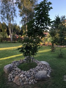 IMG_1037.JPG