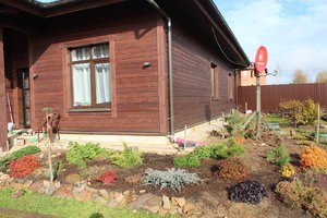 IMG_7133.JPG